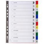 Intercalaires Imprimés Mensuels Pp Couleurs Janv-décembre - A4 - Couleurs Assorties - X 20 - Exacompta