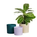 Pots de fleur 14 cm blanc vert violet 14 x 13.8 x hauteur 12 cm - Intérieur 100  recyclé