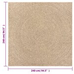 vidaXL Tapis ZIZUR 240x240 cm aspect de jute intérieur et extérieur