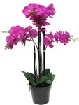 Orchidée phalaenopsis factice top qualité & pot h60cm rose fushia-best - dimhaut: h 60 cm - couleur: rose fushia