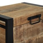 Coffres de rangement vidaXL 40x30x30cm en bois de manguier massif et métal