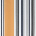 vidaXL Tissu de remplacement pour auvent rayures multicolores 4x3 5 m