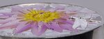 THE LOTUS High Relief Flowers and Leaves 2 OnceArgent Coin 10 Dollars Palau 2022