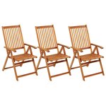 vidaXL Chaises pliables de jardin 3 Pièces avec coussins Bois d'acacia