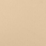 vidaXL Canapé de jardin accoudoir avec coussin bois massif de pin