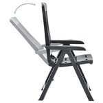 vidaXL Chaises inclinables de jardin lot de 2 Plastique Anthracite