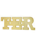 THIRARD - Plaque de signalisation TER  à visser  51x34mm  laiton - THIRARD
