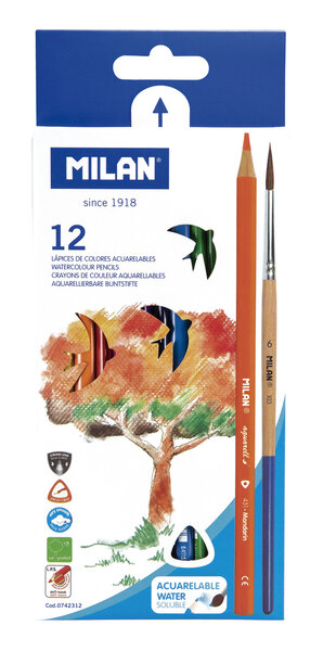 Crayons de couleur triangulaires aquarellables 12 pièces + pinceau