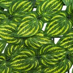 vidaXL Écran de balcon avec feuilles Vert et jaune 500 x 100 cm