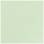 Rouleau papier kraft 3x0.70m vert bourgeon clairefontaine