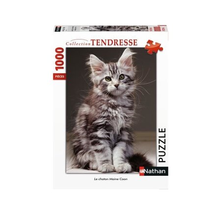 Puzzle N 1000 p - Le chaton Maine Coon