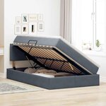 vidaXL Lit avec rangement et LED Gris foncé 120 x 190 cm Velours