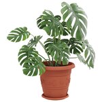 vidaXL Pots de plantes 6 Pièces Rouge brique Ø 39 x 32 cm Plastique