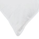 vidaXL Couette Autre avec oreiller 2 Pièces Blanc 155 x 220 cm Bas