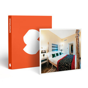 SMARTBOX - Coffret Cadeau 2 jours en studio dans une demeure historique près d’Avignon -  Séjour