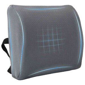 vidaXL Coussin de Dos avec oreiller Gris 36 x 30 x 12 cm Avec filet