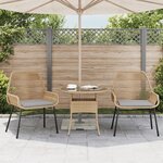 vidaXL Chaises de jardin lot de 2 et coussins marron rotin
