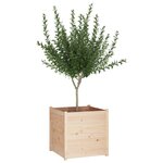 vidaXL Jardinière d'extérieur 70x70x70 cm Bois de pin massif