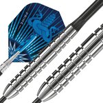 Fléchettes Assassin 80 steel 24g R
