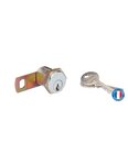 Serrurerie de picardie - batteuse bal  compatible avec la distribution postale  épaisseur maxi 23mm  2 clés