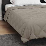 vidaXL Duvet complet toute l'année Gris clair 240 x 260 cm Microfibre