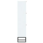 vidaXL Armoire à chaussures blanc 52x25x120 cm bois d'ingénierie