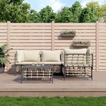 vidaXL Salon de jardin 5 Pièces avec coussins anthracite résine tressée