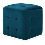 vidaXL 2 Pièces Poufs Bleu 30 x 30 x 30 cm Tissu velours