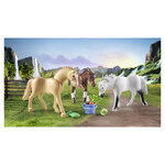 71356 3 chevaux morgan  quarter horse  and  shagya
