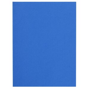 Paquet de 100 sous chemises 80g FLASH format A4 100 RECYCLE bleu foncé x 10 EXACOMPTA