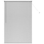 vidaXL Store de Fenêtre avec des rideaux Manuel Argent Aluminium