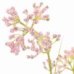 vidaXL Flore Artificielle 95 cm Plastique