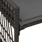 vidaXL Banc extérieur 2 -Seater 116 x 55 x 82 cm Acier et Rattan Poly