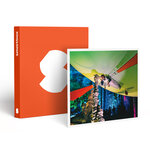 SMARTBOX - Coffret Cadeau Vol en aéroplume de 20 min avec 2 accompagnants au sol dans une grotte près d'Alès - Sport & Aventure