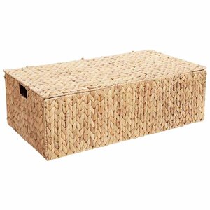 vidaXL Boîte de rangement Naturel 60 x 38 x 20 cm Jacinthe d'eau
