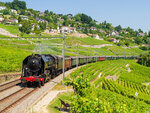 SMARTBOX - Coffret Cadeau Voyage à bord d'un train panoramique en Suisse avec dîner  - Première classe -  Multi-thèmes