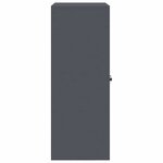 vidaXL Armoire de rangement Anthracite 80 x 40 x 105 cm Acier