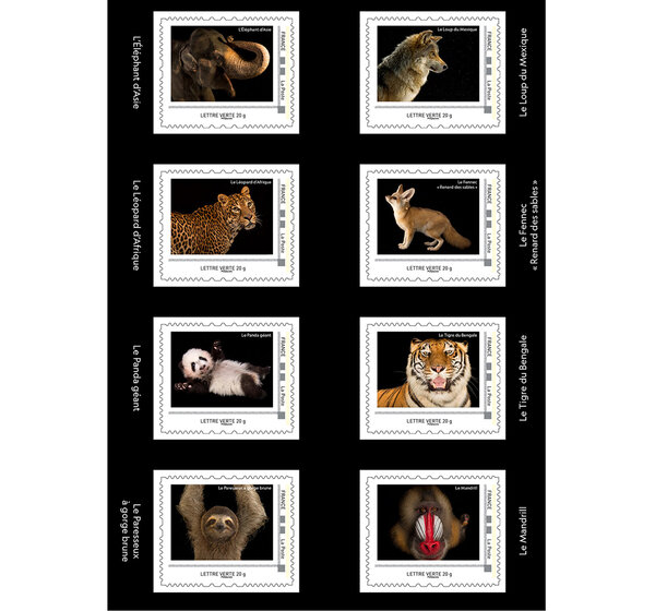Lot De 100 Timbres Collection Sur Les Chats Et Félins - Lions, Tigres, Léopards - Qualité Prophila - 7