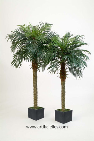 Palmier phoenix h 180 cm 1 tronc 28 feuilles artificiel - La Poste