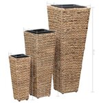 vidaXL Lits surélevés 3 Pièces Jacinthe d'eau Marron