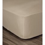 Drap housse 100  Coton 160 x 200 cm - Bonnet 35 cm - Beige