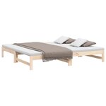 vidaXL Lit coulissant sans matelas 2x(80x200) cm Bois de pin massif