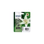 Epson lys cartouche gris clair c13t05994010 (t0599)