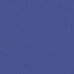 vidaXL Auvent latéral rétractable bleu 160x500 cm
