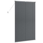 vidaXL Store de Fenêtre avec des rideaux Gris foncé Aluminium