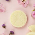 12 palets parfumés à faire fondre - câline & eté