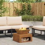 vidaXL Braise Rouillé 50 x 50 x 40 cm Acier Weather