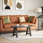 vidaXL Pieds de table basse en forme de A  2 pièces  noir  50 x (42-43) cm  acier
