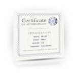 THE COSMIC KITTEN Stellar Stare 1 Once Argent Monnaie 5 Dollars Tokelau 2024