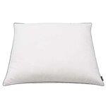 vidaXL Oreiller lot de 2 Remplissage de duvet 80 x 80 cm Blanc